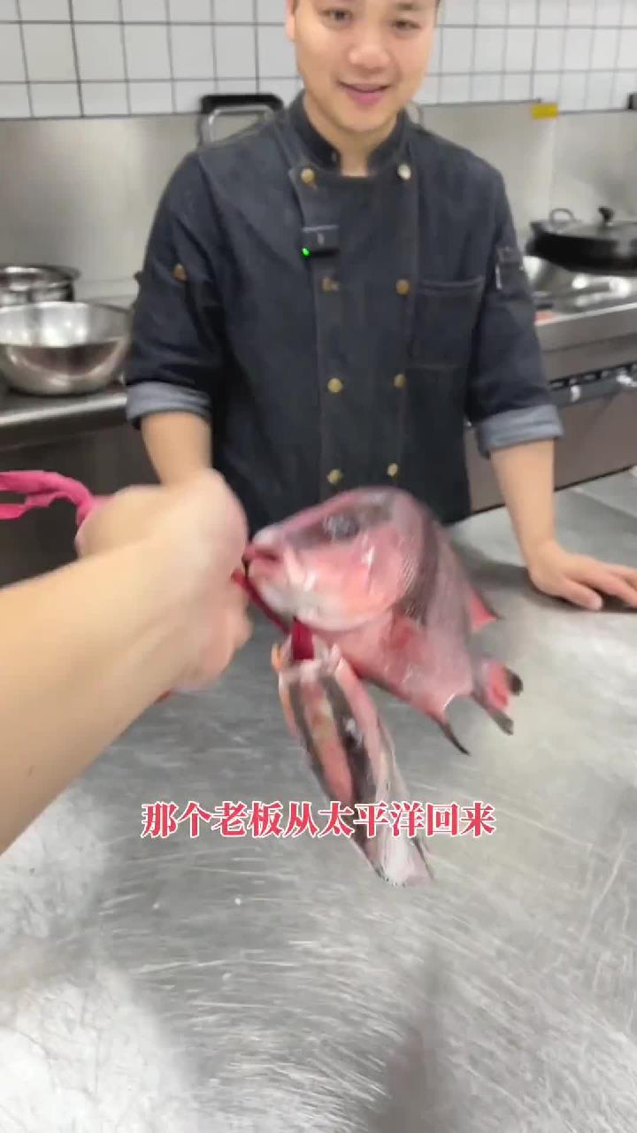 红三刀鱼,口感丰富,加上鱼肉鲜嫩、肥厚,只有一根独刺