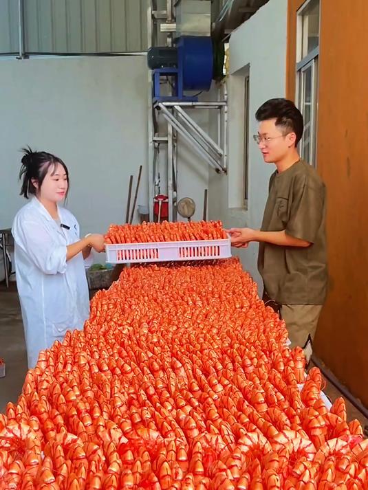当你嘴巴馋不知道吃什么的时候就来试试这个九节虾干吧营养又美味