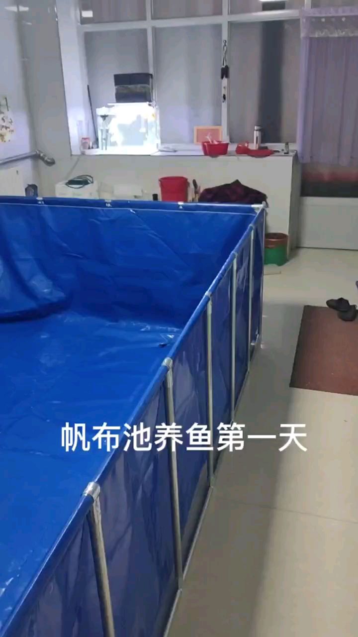 方形帆布鱼池安装,客厅里装个鱼池,平时不养鱼还可以泡澡,哈哈哈。锦鲤养殖