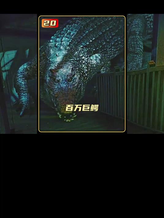 家里突然闯进一条大鳄鱼 男人急中生智用飞车解围