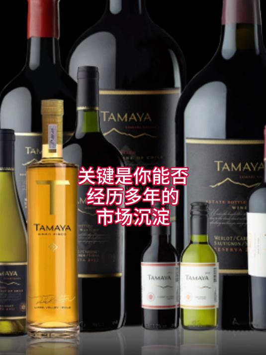 如何挑选智利葡萄酒