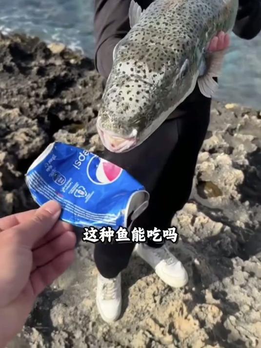 分享多种海鱼的美味与特色，这些品种你都品尝过吗？#鱼 #涨知识