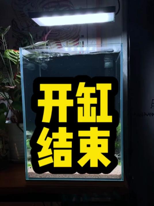 哈哈哈这个小缸终于开完了!