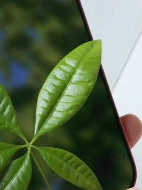 iPhone17ProMax,通透的ios26壁纸