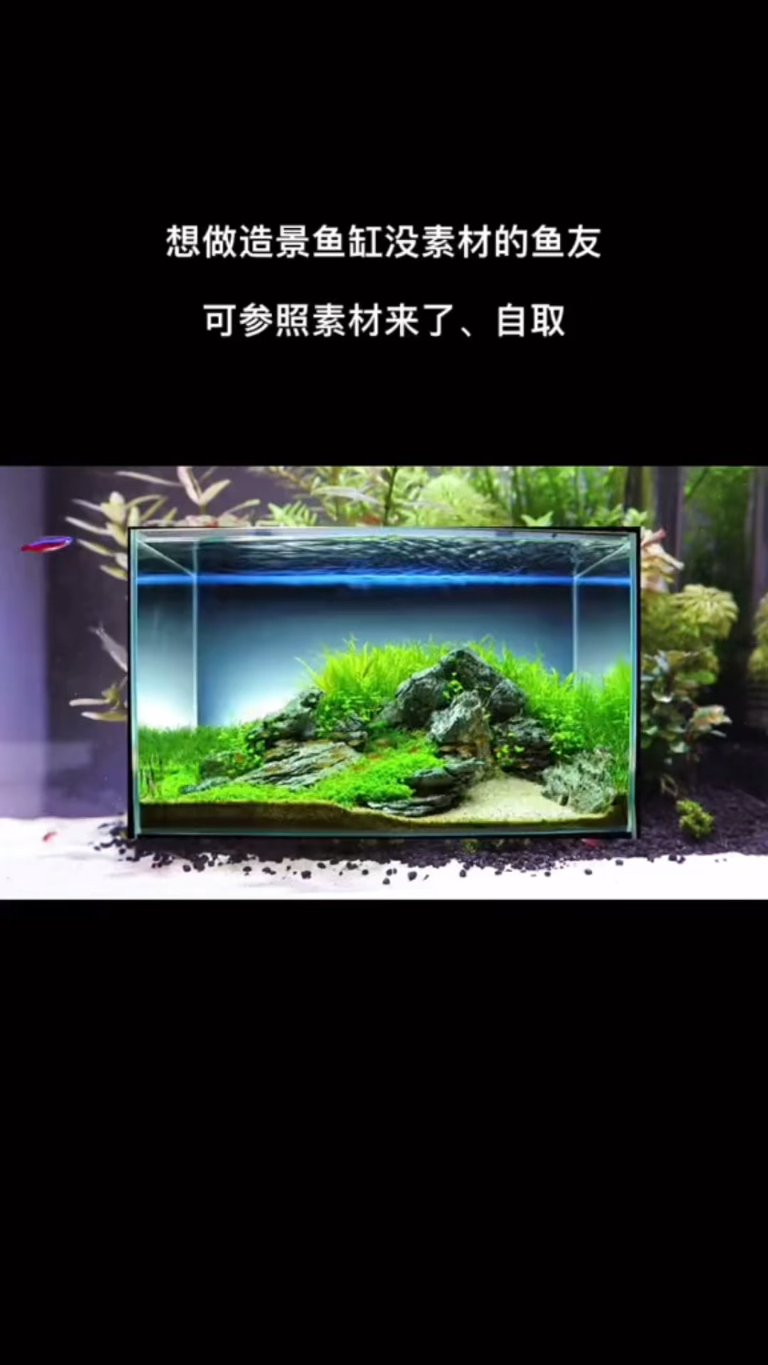 鱼缸造景素材,自取,用得上的咯。
