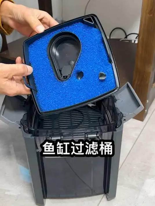首次用贵价过滤桶 鱼缸水质大改观 效果超棒