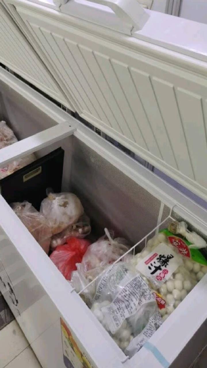 雪贝娜冰柜商用家用卧式冷柜大容量冷藏冷冻双温展示柜 728单温