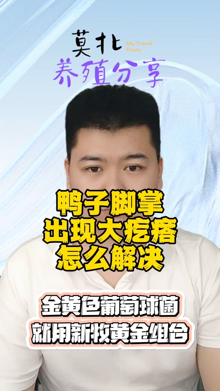 鸭子脚长疙瘩是什么鸭子脚长疙瘩是什么引起的鸭子脚板上有包是怎么回事鸭子脚掌有很