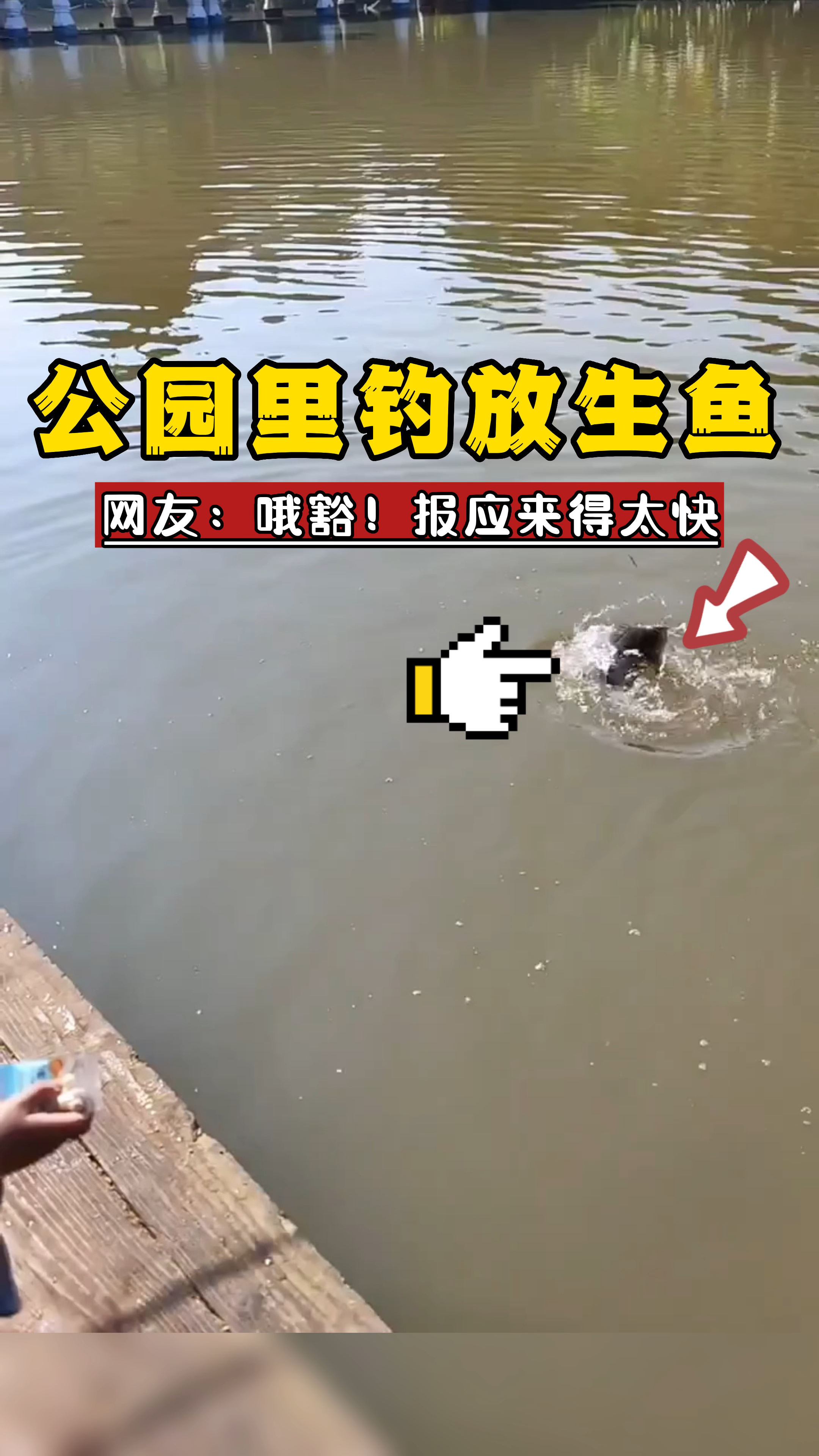 众目睽睽之下钓公园里的放生鱼!网友:哦豁!报应来得太快还是巧合?