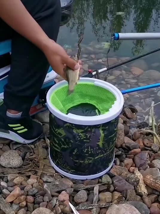 谁懂啊!这款折叠鱼桶太实用!带防跳网不跑鱼,户外用超香!