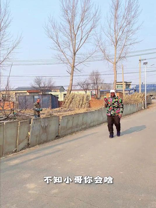 又到了囤菜时刻，东北猫冬生活当然与猪肉白菜炖粉条更配