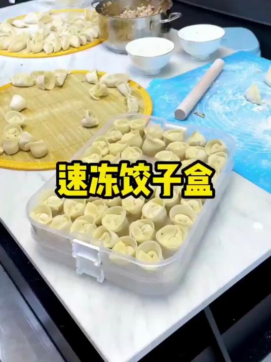 高颜值多层饺子盒,馄饨蔬菜肉类通用,密封保鲜不占地方超赞!