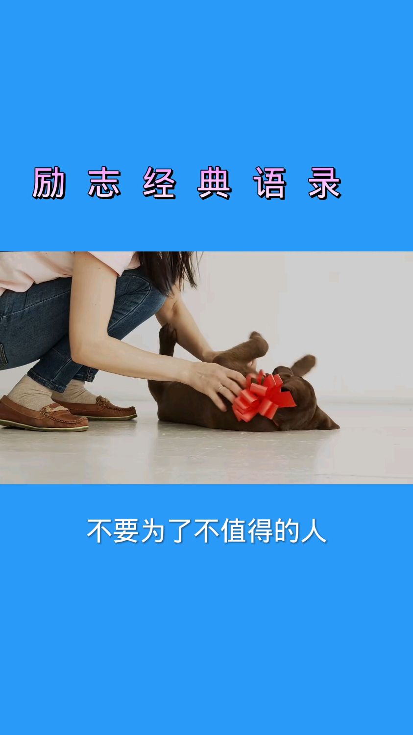 励志经典语录