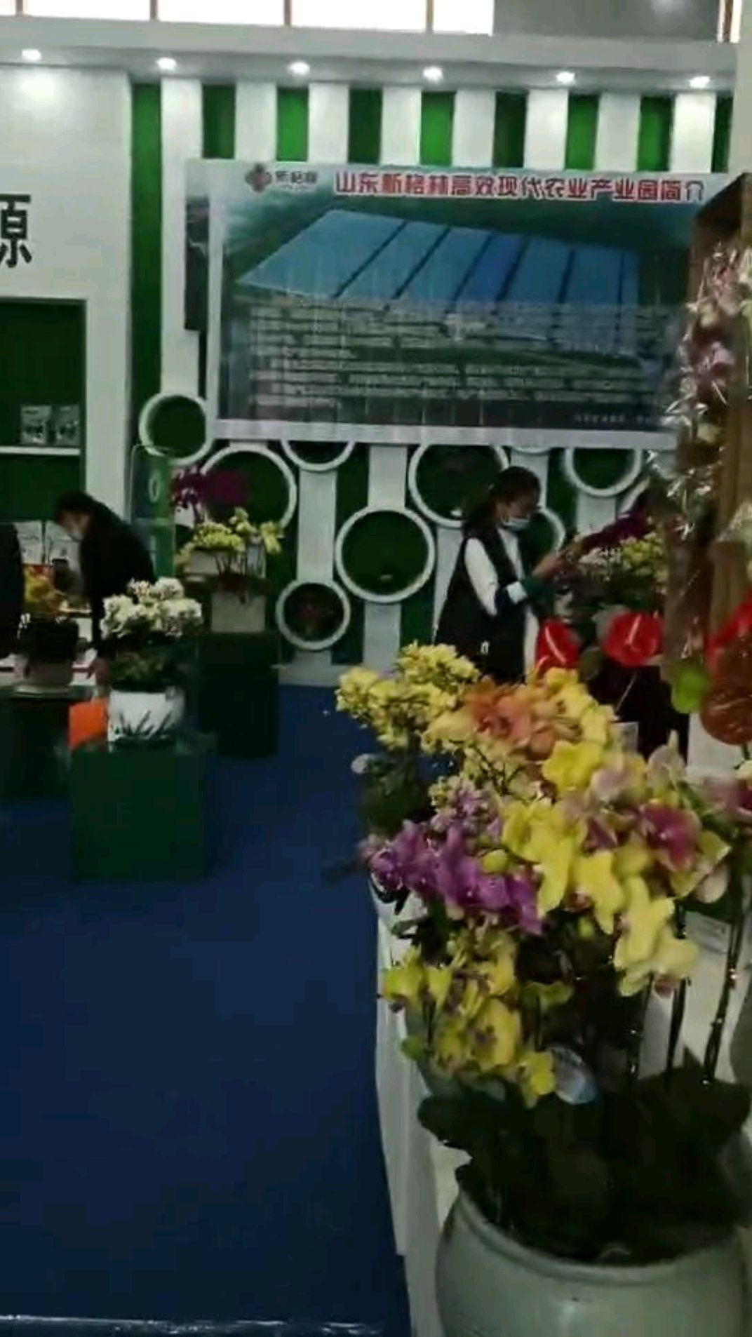 兰陵菜博会