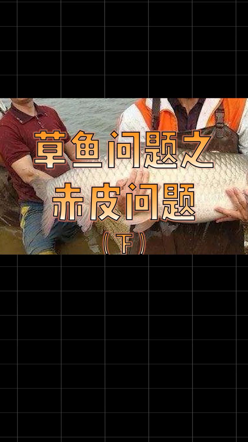 赤皮病真的会发光?