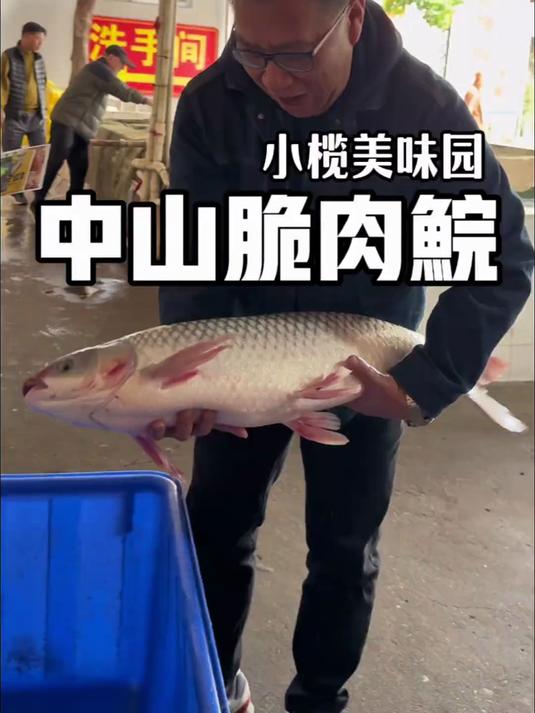 谁说脆肉鲩没鱼味 中山小榄