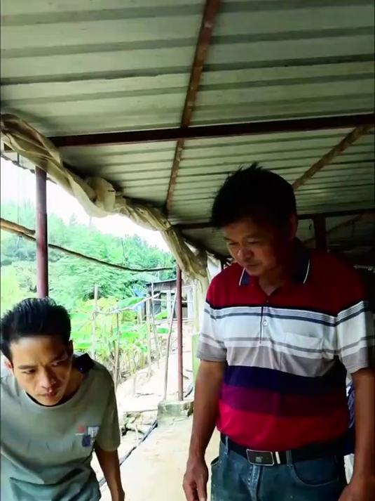 今天去农村鸭场抓了一只土鸭味道果然不一样味道杠杠的