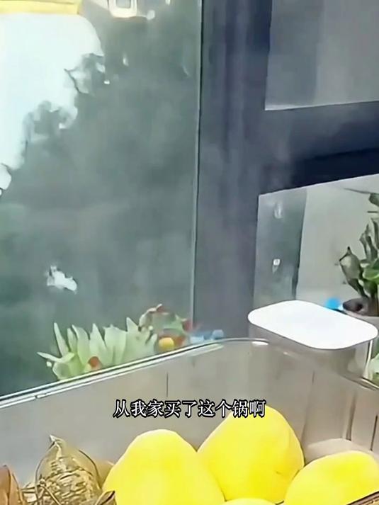 家用锅炖蒸煮一体电蒸箱蒸汽锅高温速热