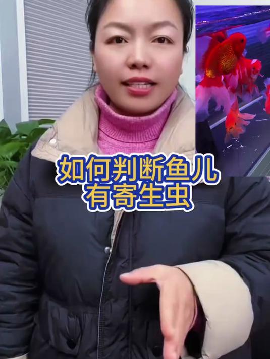 如何判断鱼儿有寄生虫