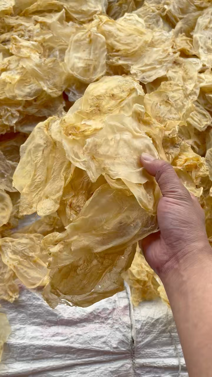 越南蜘蛛胶,平均一斤45头,货源十足干,货源清水腊色,蜘蛛胶主要功效止咳化痰