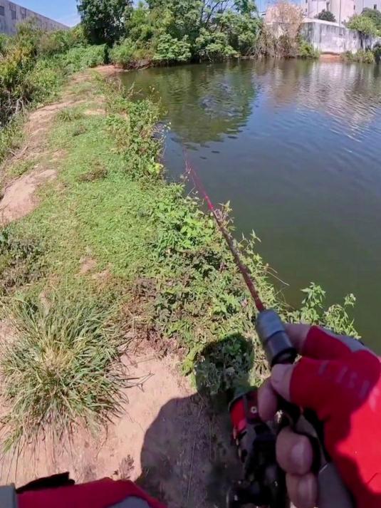 哦豁，鱼竿断了~