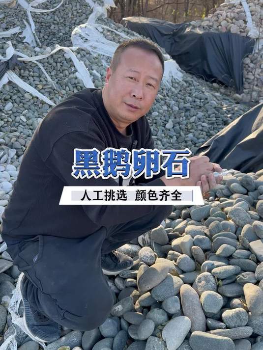 高品黑鹅卵石 光滑耐磨适配广泛
