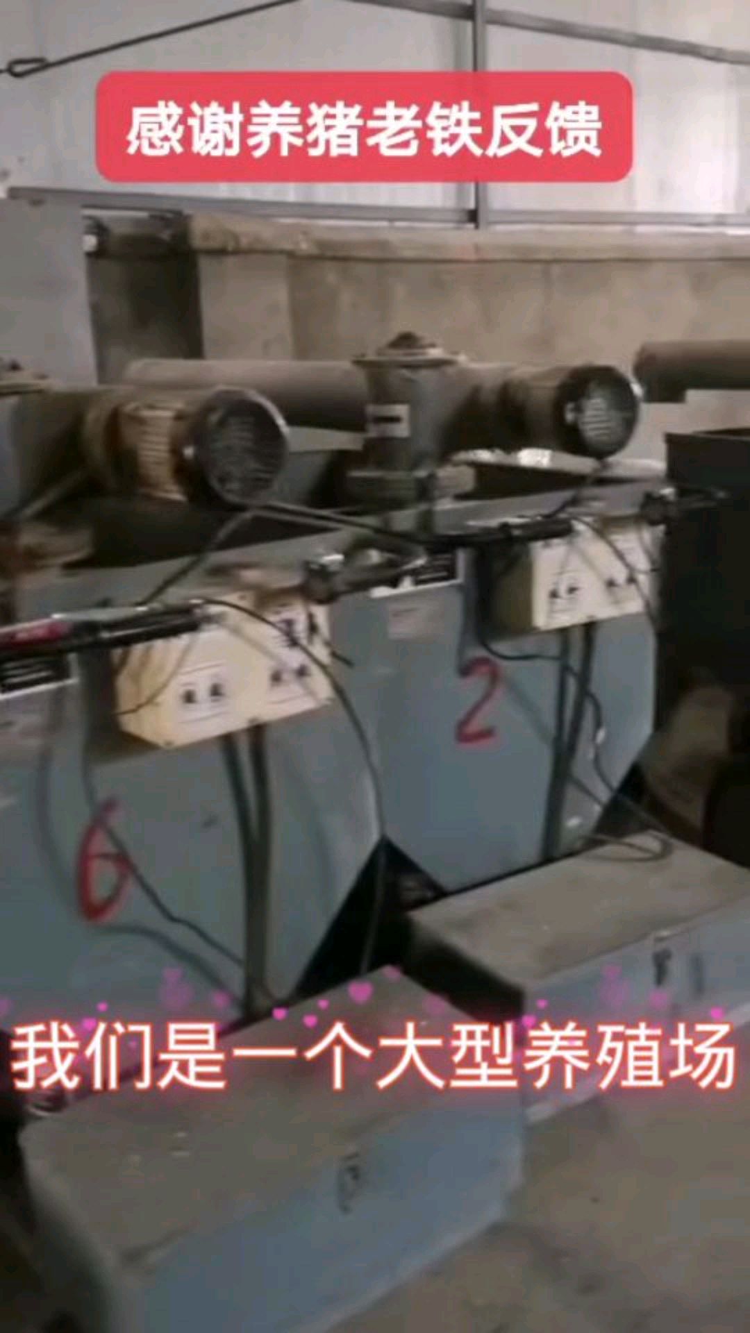 育肥猪自动喂猪养殖场养猪喂料车设备
