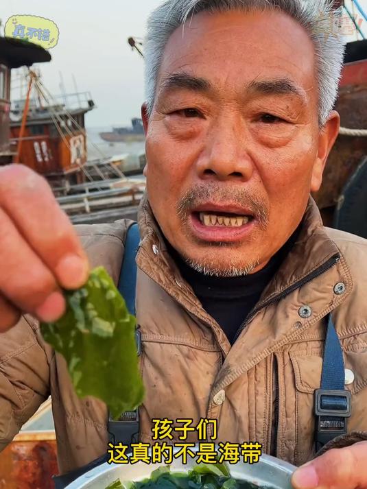 裙带菜真不是海带裙带菜比海带更薄更嫩更滑可以凉拌炒菜做汤啊都可以大人孩子都可以吃……