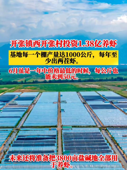 厉害!这个村投资1.38亿养虾,未来还将打造3800亩养虾基地!