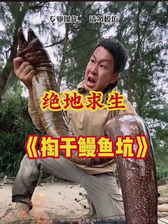 掏干鳗鱼坑。收获大鳗鱼