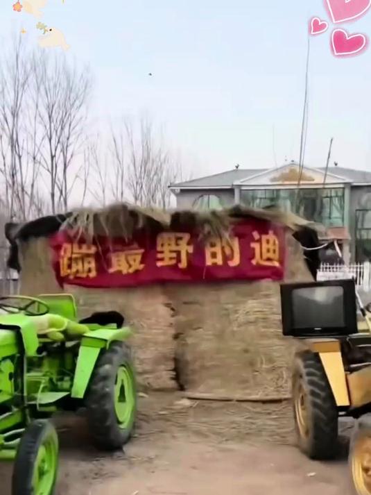 四季皆宜的养生茶!韭菜籽枸杞茶,温暖你的每个清晨