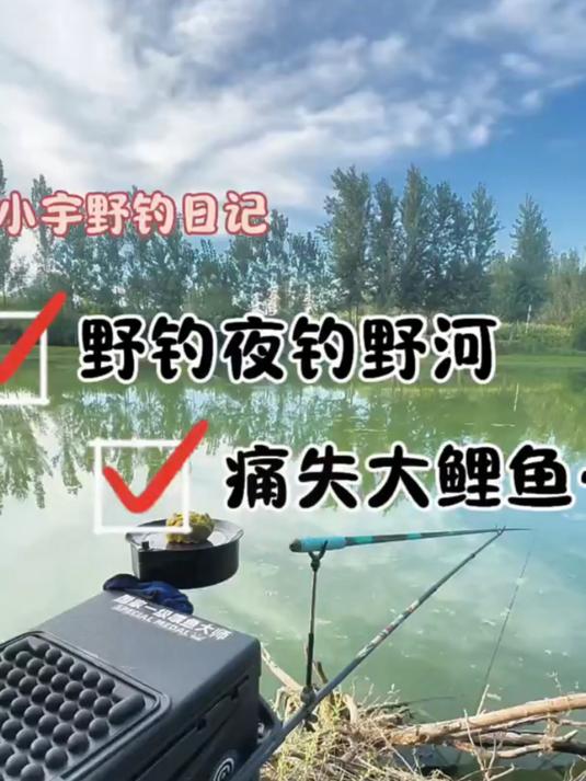 夜钓鲤鱼