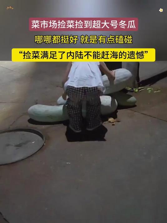 菜市场捡菜捡到超大号冬瓜,哪哪都挺好 就是有点磕碰。“捡菜满足了内陆不能赶海的遗憾”