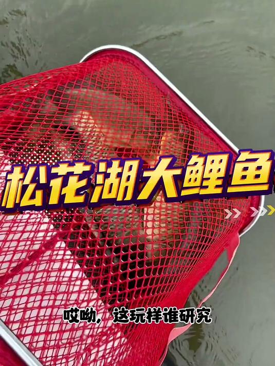 媳妇给买的钓鱼浮台!钓鱼神器啊