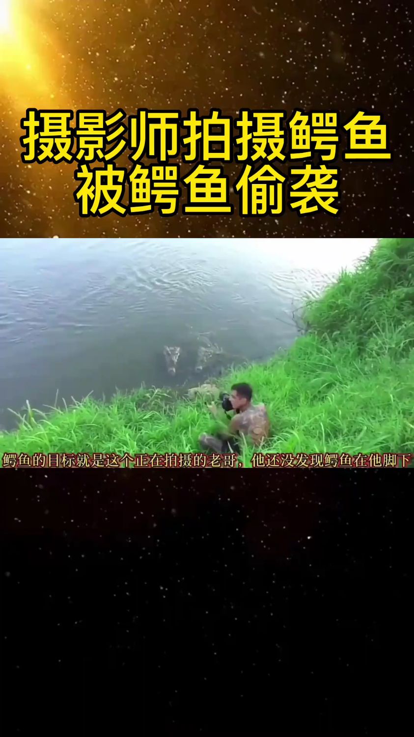男子拍摄鳄鱼,险被鳄鱼偷袭!