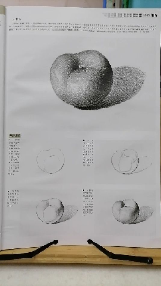 当代国画家徐鹤～美术高考素描静物教程:番茄