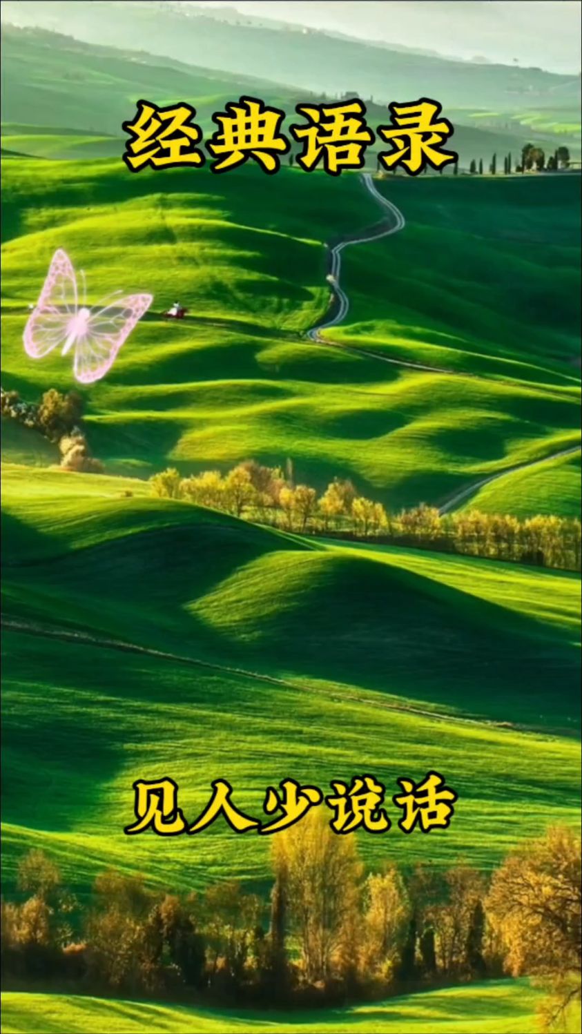 经典语录分享