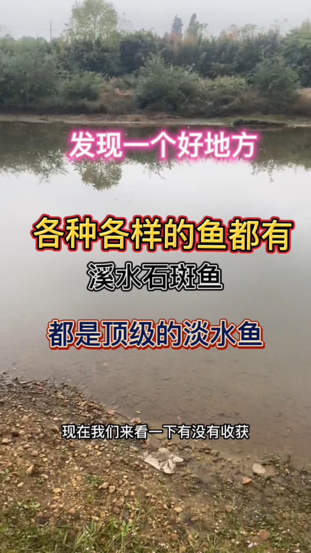 各种各样的顶级淡水鱼出现了,还有很多没有被发现!