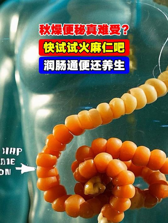 秋燥便秘真难受?快试试火麻仁吧,润肠通便还养生