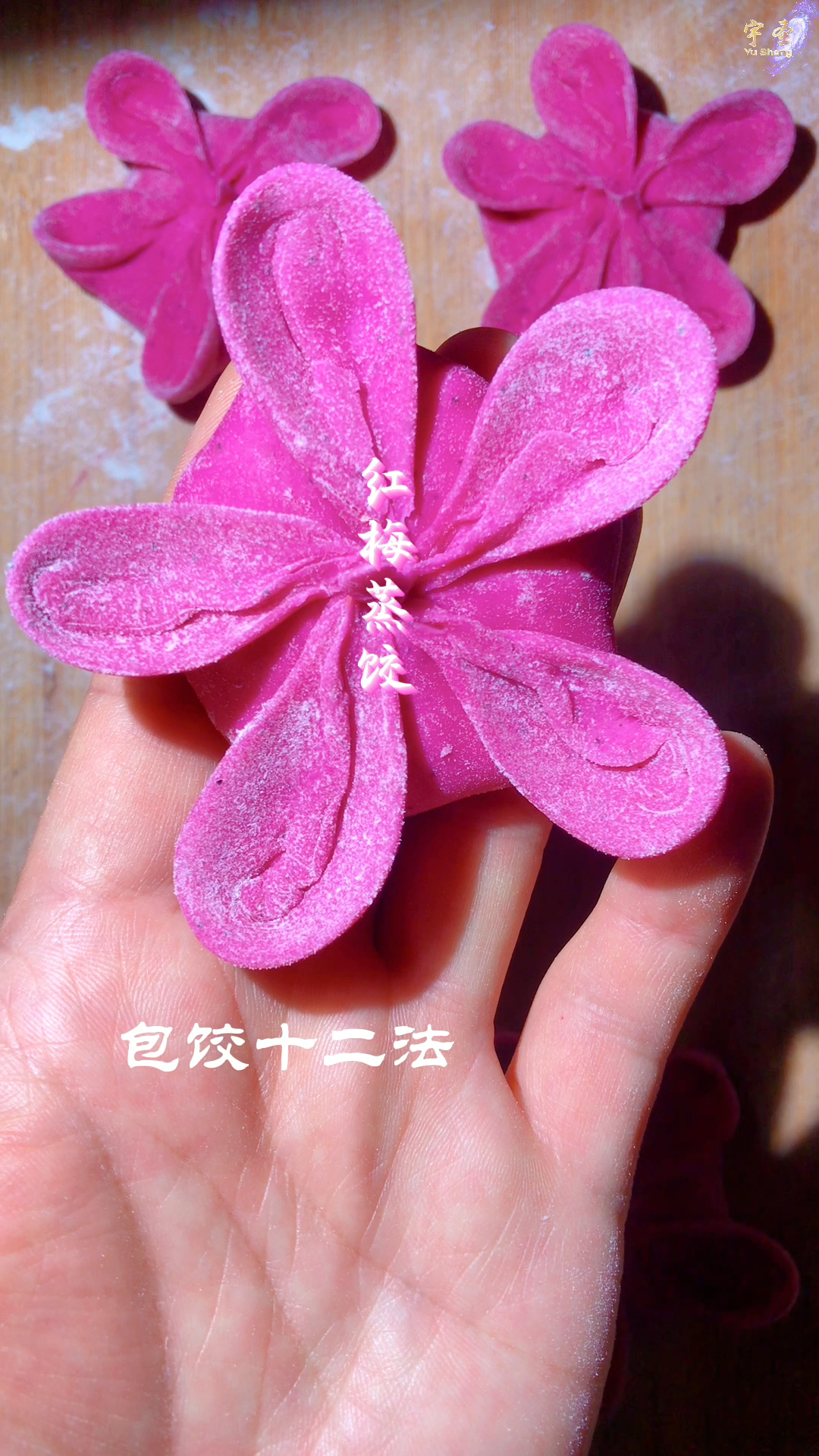 【饺子的第十二种包法】赶紧收藏起来吧～逢年过节不能少。平常想包饺子时也用得上。