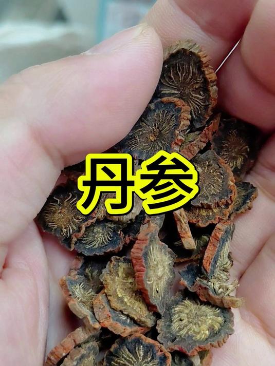 丹参的珍贵之处,你了解多少?今天,去康美中药城看看丹参