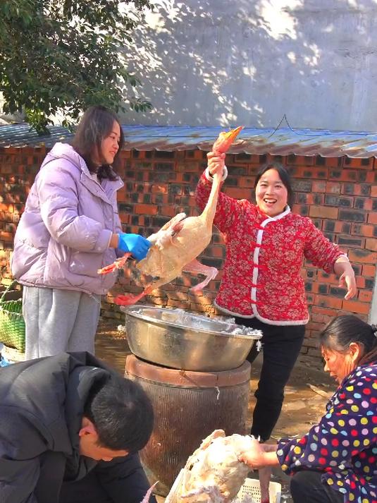 300块一只的鹅炖上,怀孕嫂子掌勺,妈妈又摸一桶河鲜,太幸福了