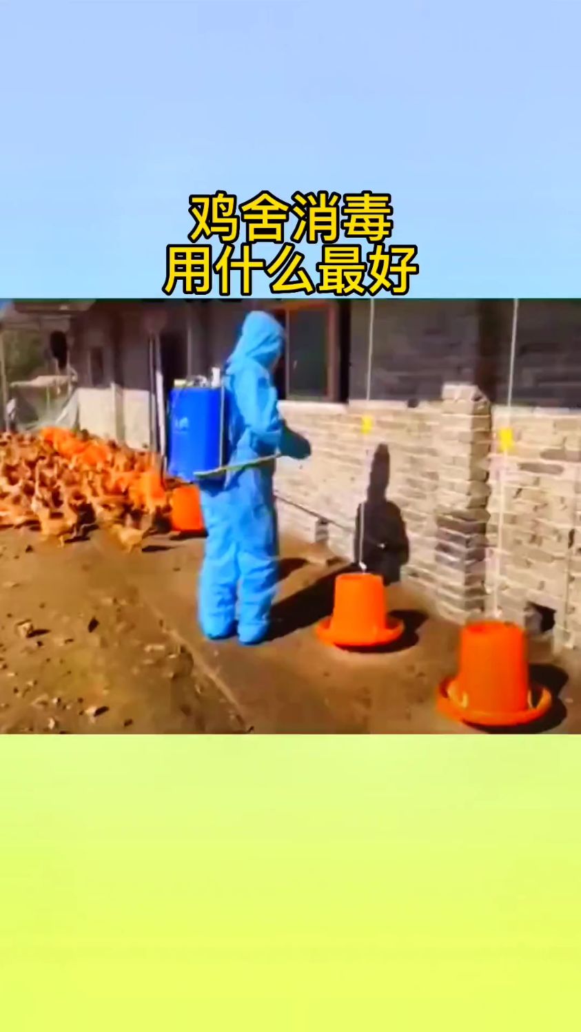 鸡舍消毒用什么最好