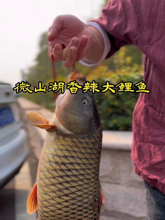 有一种味道叫家乡味，特别是这微山湖香辣大鲤鱼！