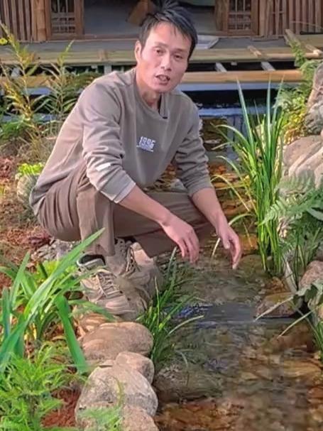 小院鱼池过滤原理大揭秘！花最少钱造最美溪流，干货满满