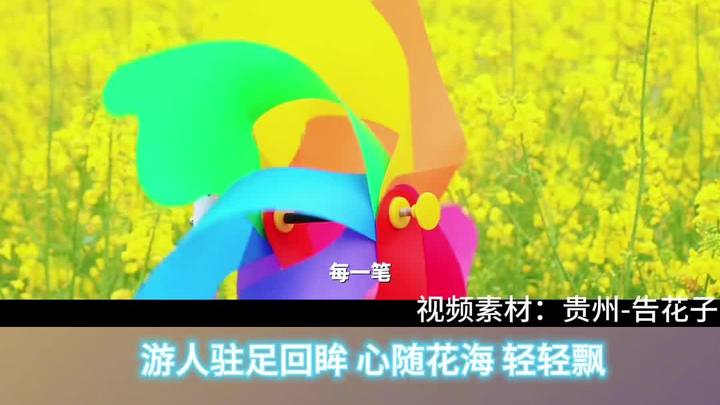 3月13日瓦屋油菜花开