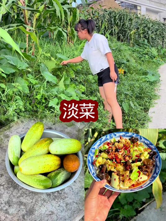 云南人的夏天，餐桌上必不可少的一道菜，应该就是“淡菜”了吧！