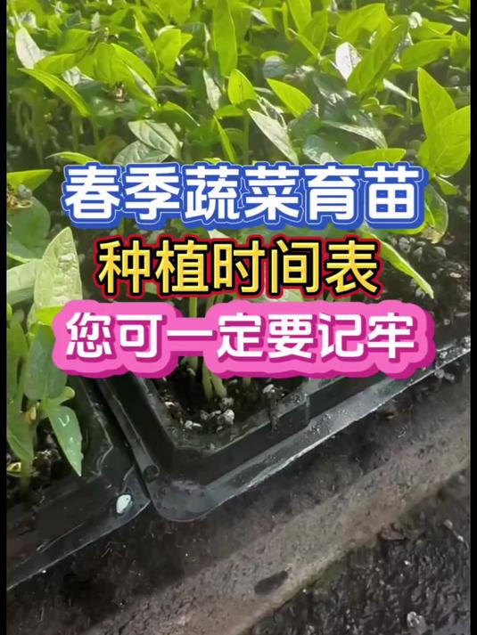 春季蔬菜育苗种植时间表千万别错过