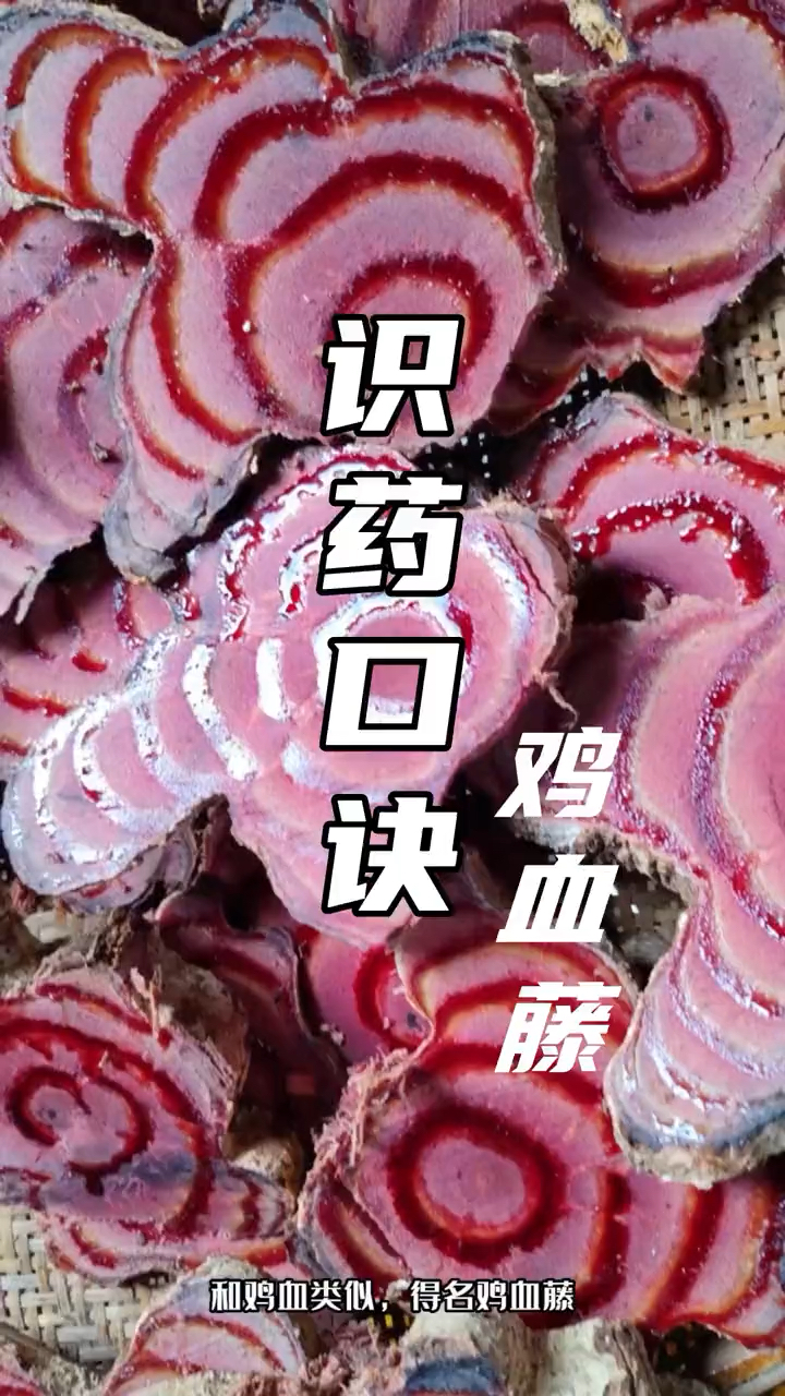 识药口诀-鸡血藤