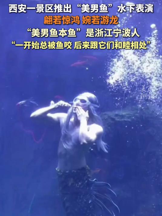 好帅!西安一景区推出美男鱼表演,翩若惊鸿婉若游龙,原来“美男鱼”本“鱼”是宁波人,网友:我